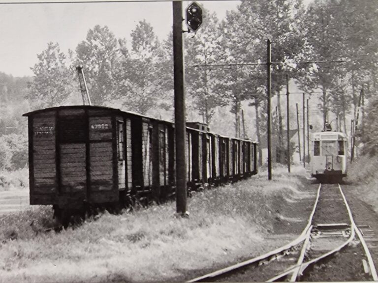 Vicinal-wagon-de-marchandises